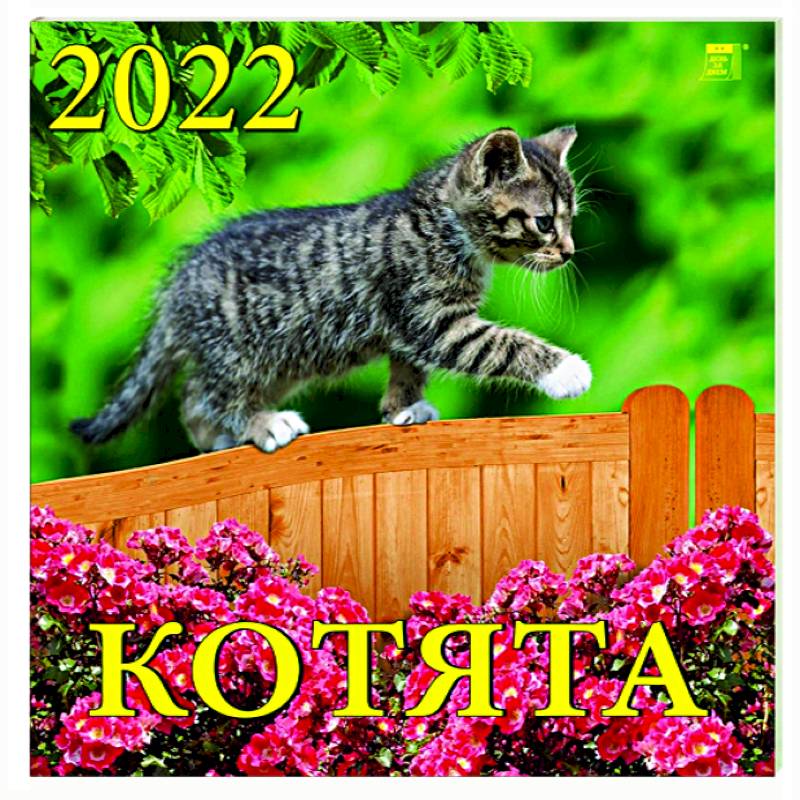 Календарь на 2022 год 'Котята' (70205)