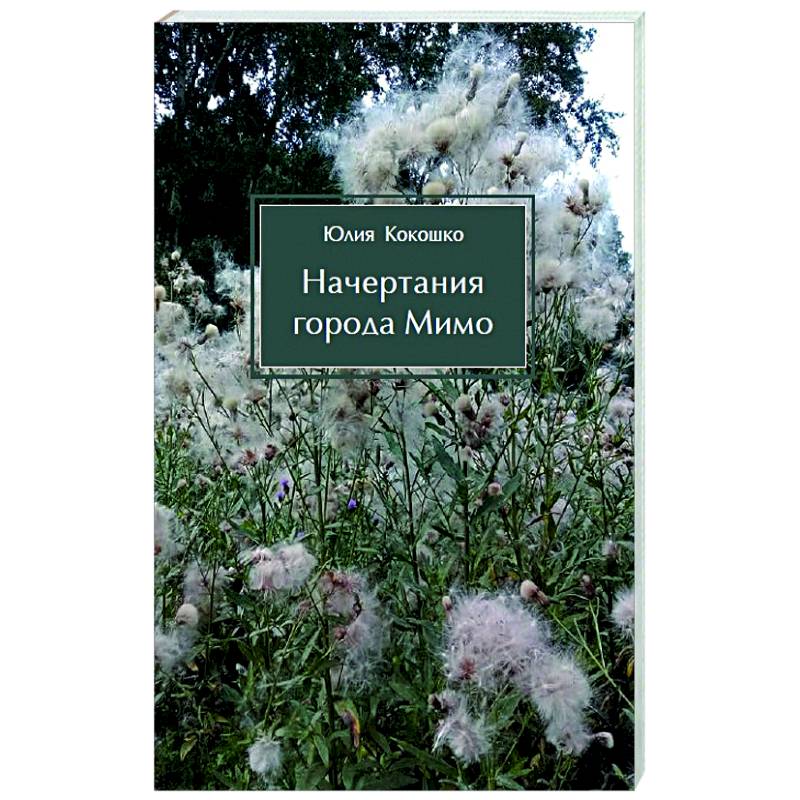 Начертания города Мимо