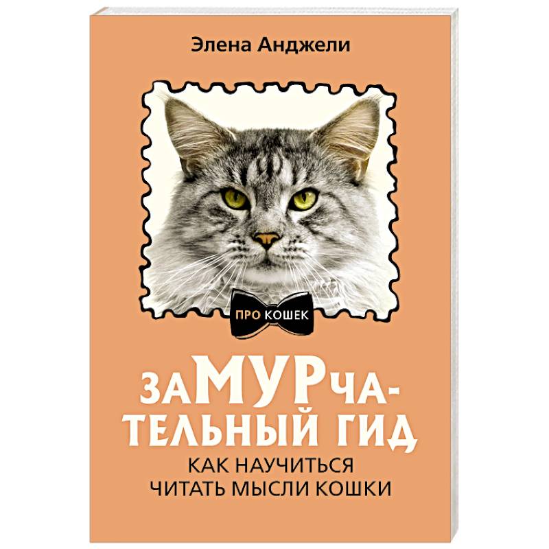 ЗаМУРчательный гид. Как научиться читать мысли кошки