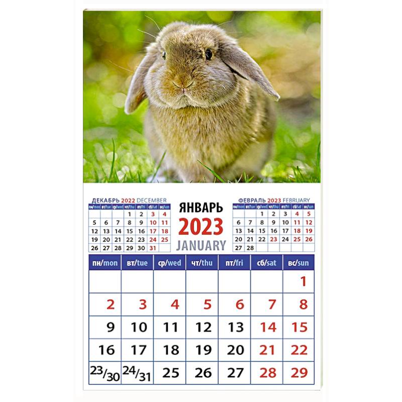 Календарь Год кролика. Обаятельный и привлекательный, на 2023 год