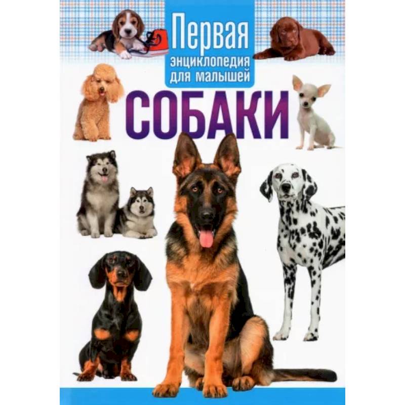 Собаки.Первая энциклопедия для малышей