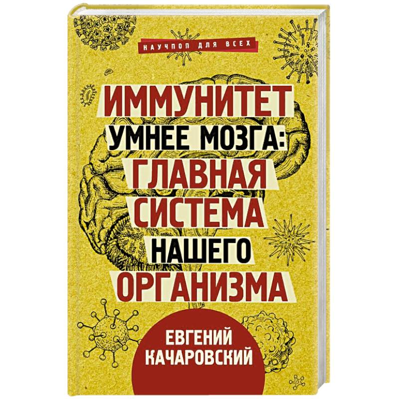 Иммунитет умнее мозга. Главная система нашего организма