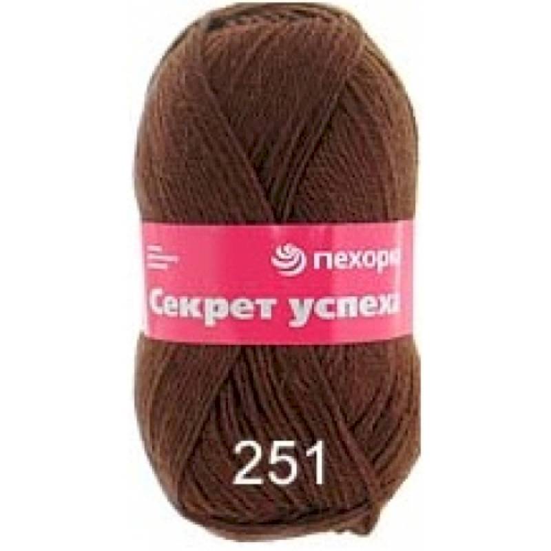 Секрет успеха. Цвет 251-Коричневый. 10x100 г.