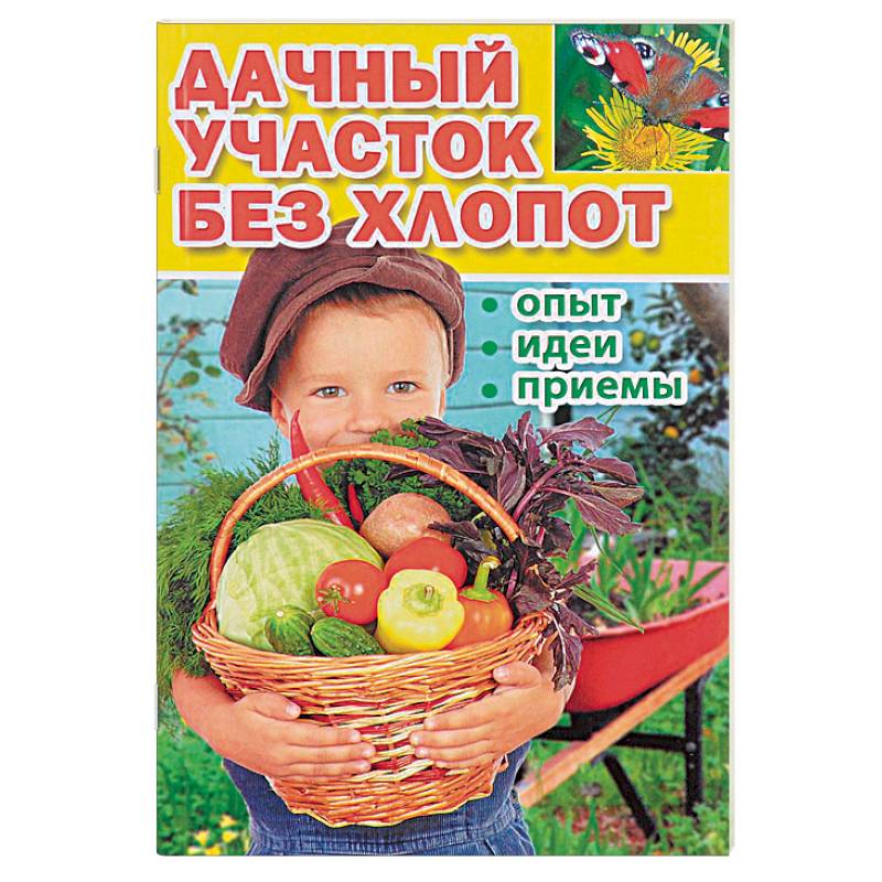 Дачный участок без хлопот. Опыт, идеи, приемы