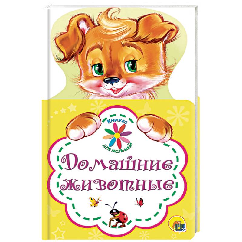 Домашние животные