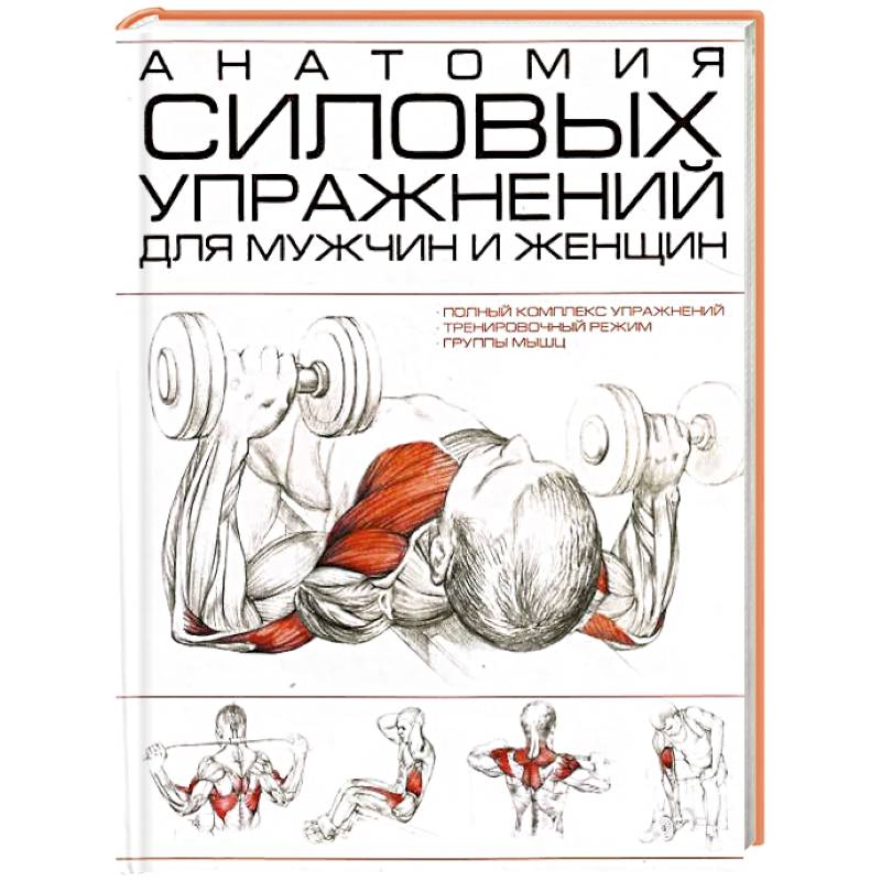 Анатомия силовых упражнений для мужчин и женщин