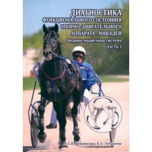 Диагностика функционального состояния опорно-двигательного аппарата лошадей. Нервно-мышечная система