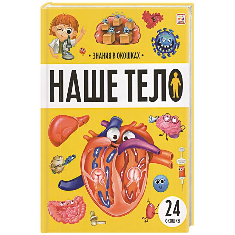 Знания в окошках. Наше тело