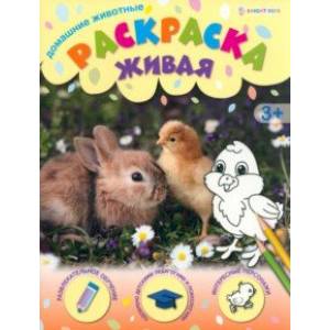 Раскраска живая Домашние животные