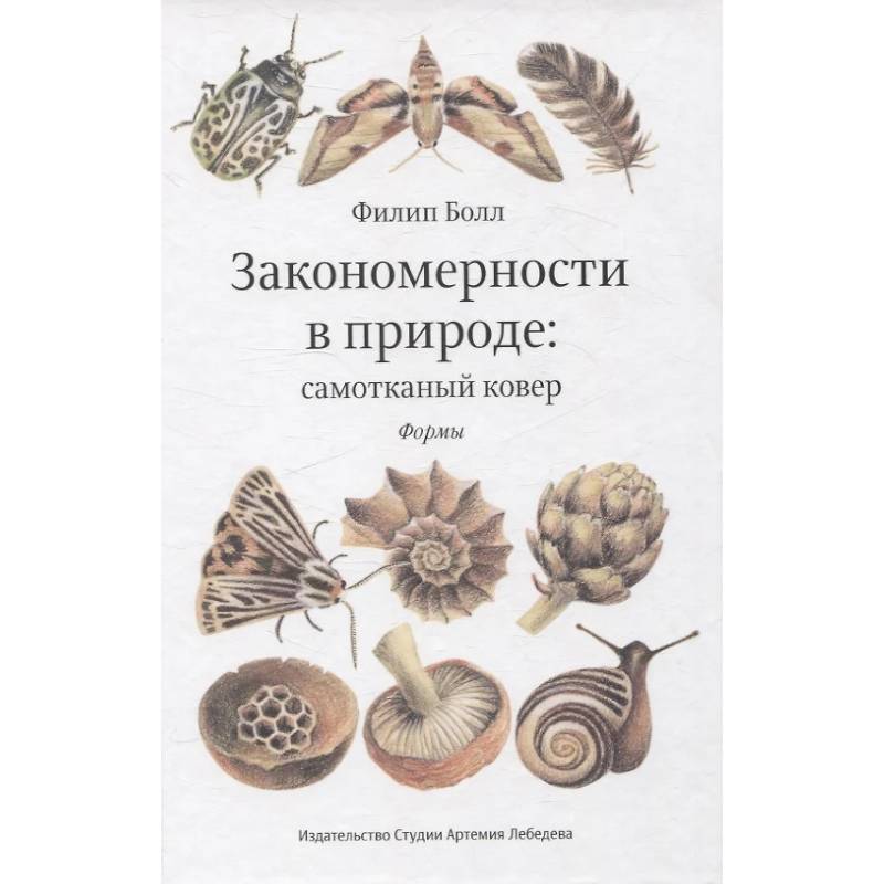 Закономерности в природе: самотканный ковер (в трех частях). Формы