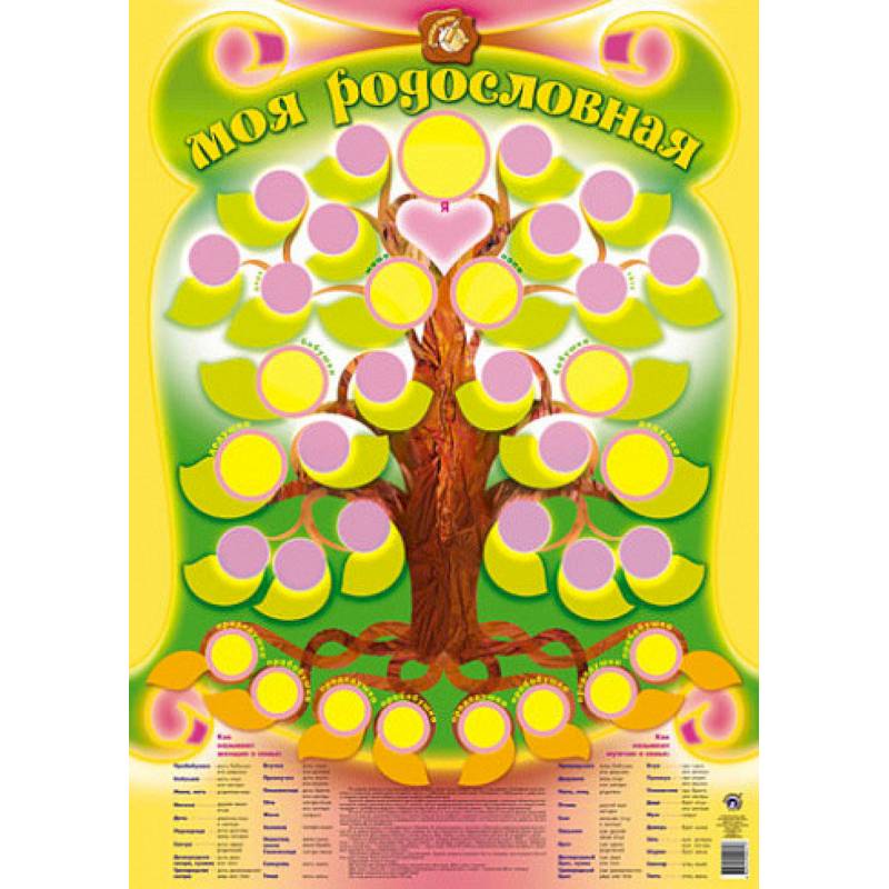 Плакат 'Моя родословная'