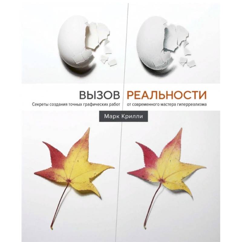 Вызов реальности. Секреты создания точных графических работ от современного мастера гиперреализма