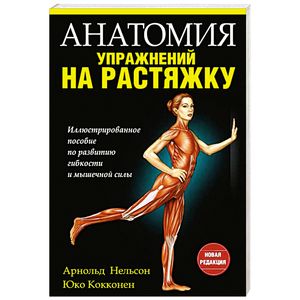 Анатомия упражнений на растяжку