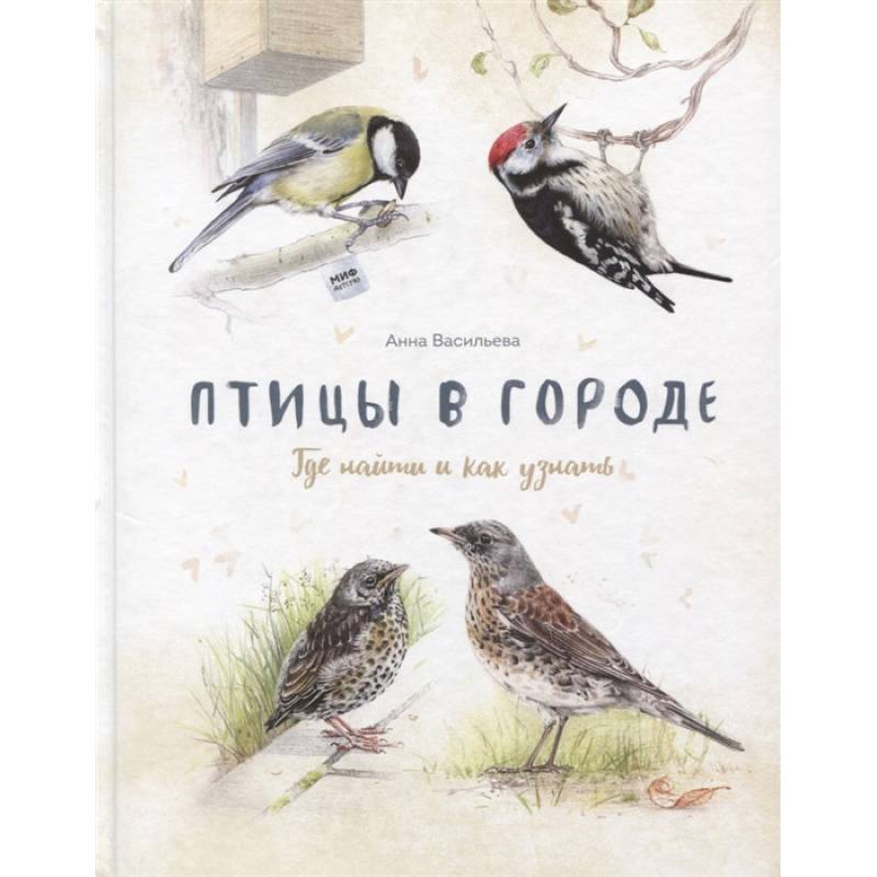 Птицы в городе. Где найти и как узнать