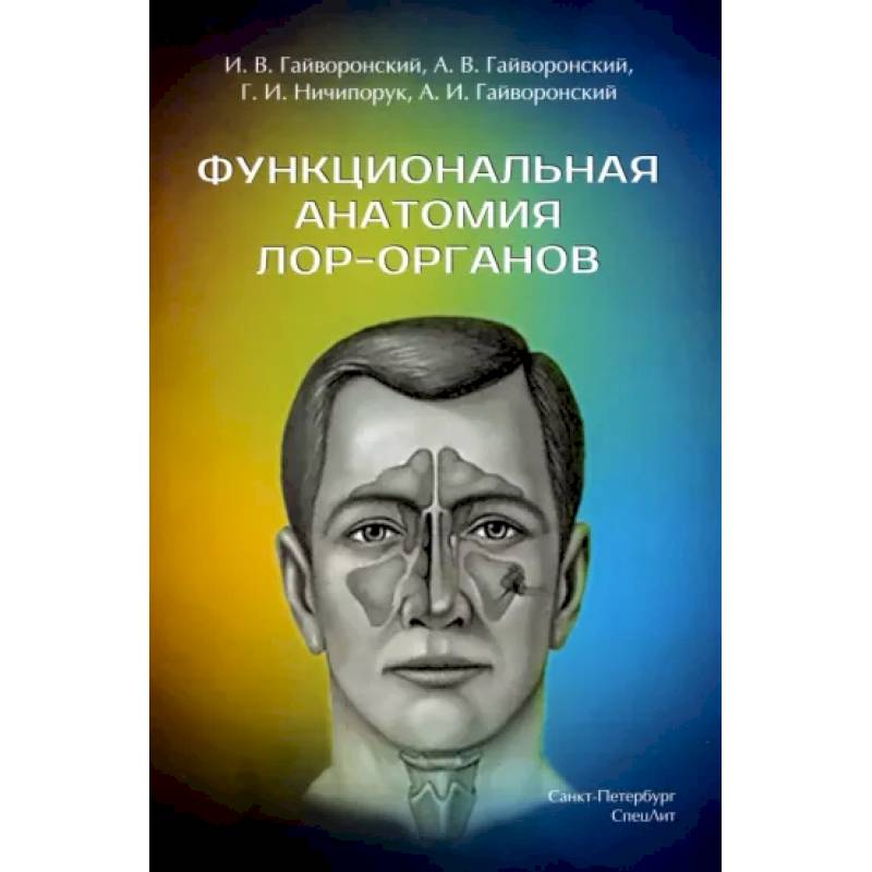 Функциональная анатомия ЛОР-органов Функциональная анатомия ЛОР-органов