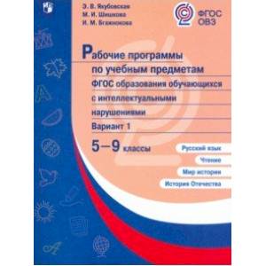 Рабочие программы по учебным предметам. ФГОС образования обучающихся с интеллект.нарушениями. 5-9 кл