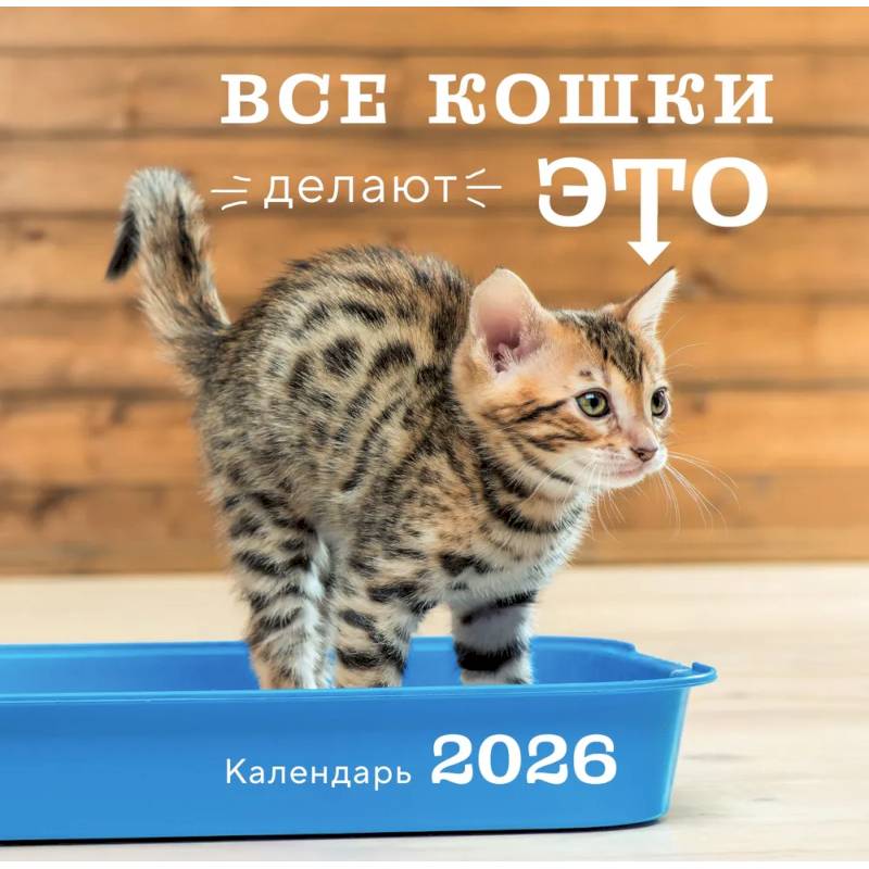 Все кошки делают это. Календарь настенный на 2026 год (300х300)