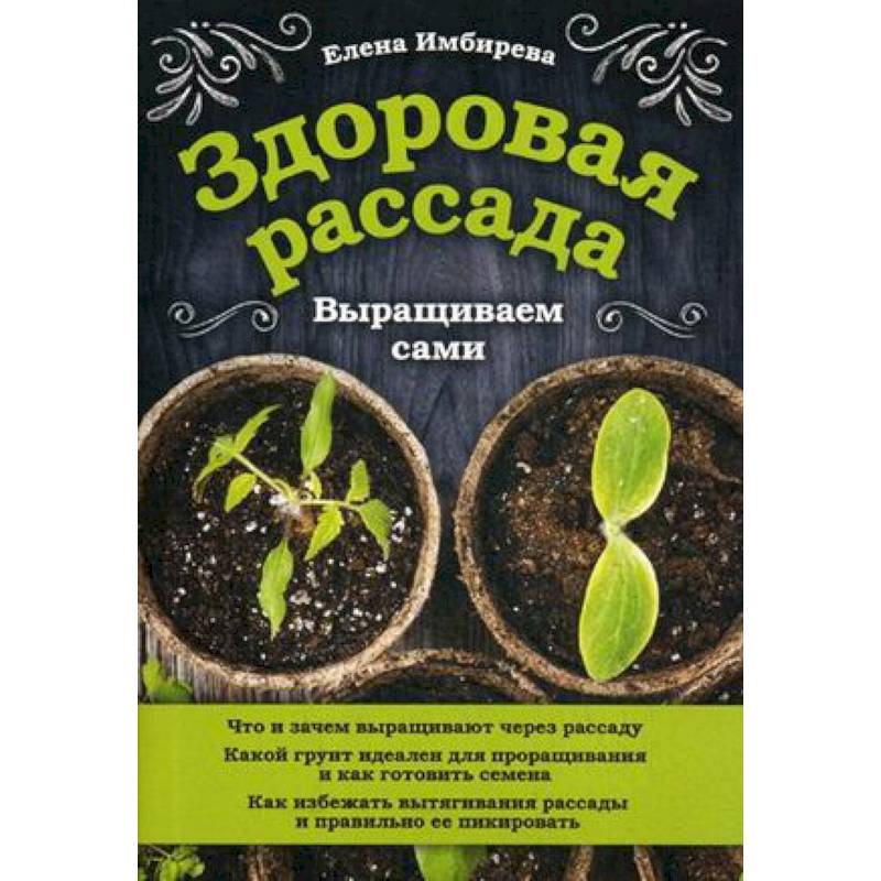 Здоровая рассада. Выращиваем сами