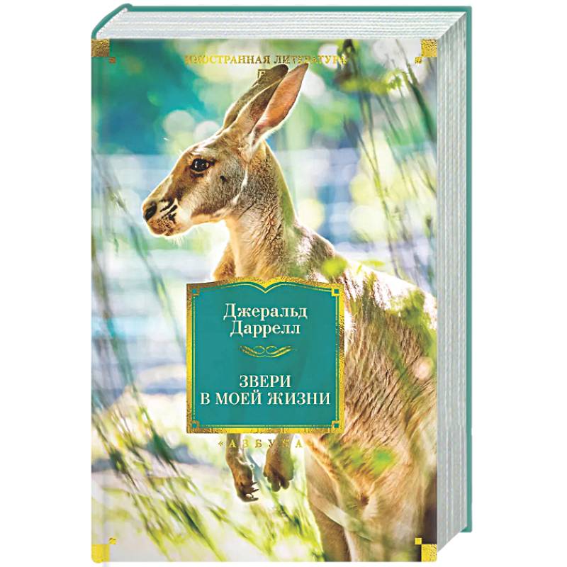 Звери в моей жизни