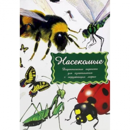 Животный и растительный мир, книга Дидактические карточки. Насекомые купить по скидке