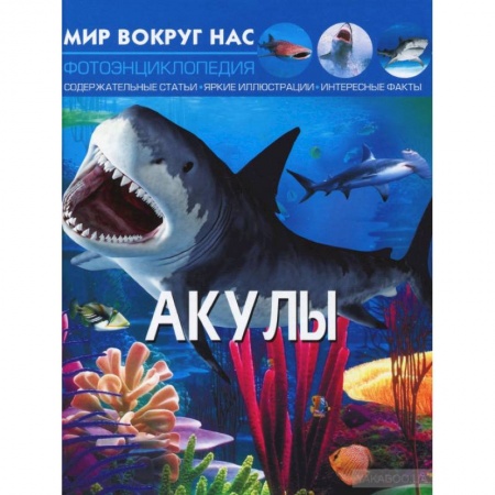 Животный и растительный мир, книга Мир вокруг нас. Акулы. Фотоэнциклопедия купить по скидке
