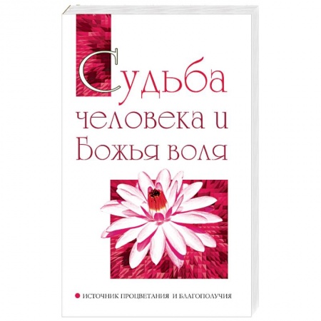 Другие эзотерические учения, книга Судьба человека и Божья воля. Источник процветания и благополучия купить по скидке