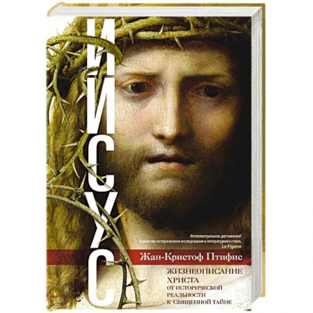 Иисус Христос. Богородица, книга Иисус. Жизнеописание Христа: от исторической реальности к священной тайне купить по скидке