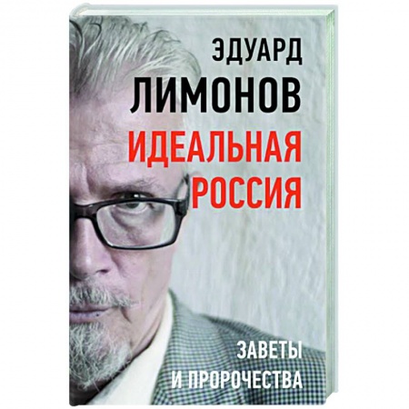 Эссе, письма, очерки, книга Идеальная Россия. Заветы и пророчества купить по скидке