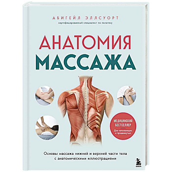 Анатомия массажа. Основы массажа нижней и верхней части тела с анатомическими иллюстрациями