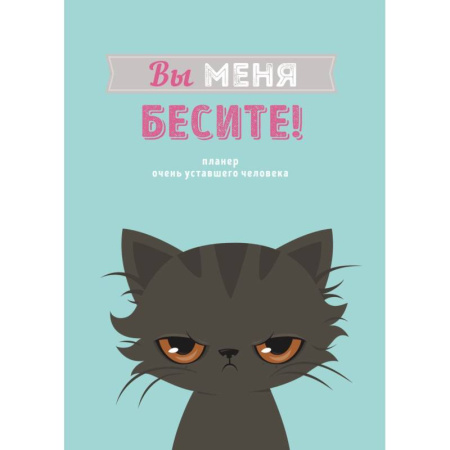 Блокнот-планер недатированный. Вы меня бесите!