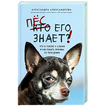 Пес его знает! Что в голове у собаки, и как понять причины ее поведения