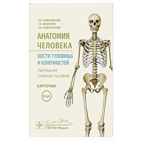 Анатомия и физиология человека, книга Анатомия человека. Кости туловища и конечностей. Карточки: Наглядное учебное пособие купить по скидке