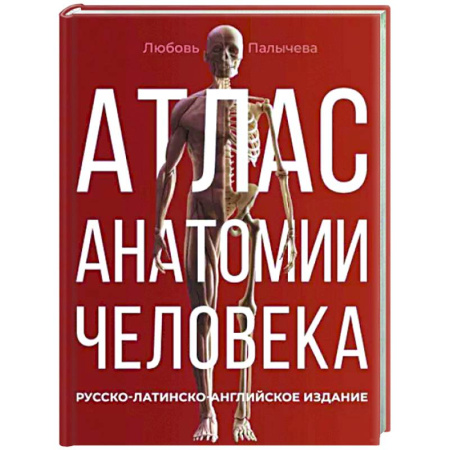 Анатомия и физиология человека, книга Атлас анатомии человека. Русско-латинско-английское издание купить по скидке