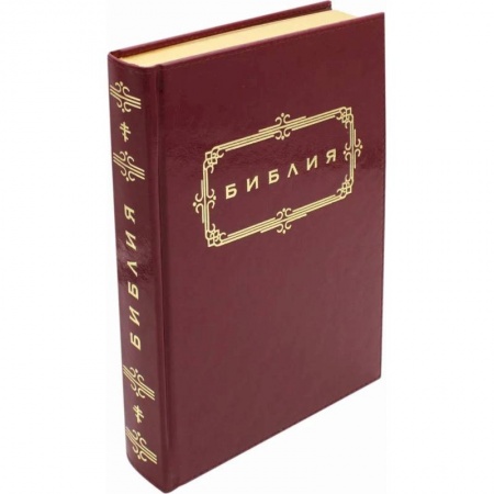 Богослужебные издания, книга Библия. Книги Священного Писания Ветхого и Нового Завета (золотой обрез) купить по скидке