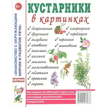 Кустарники в картинках