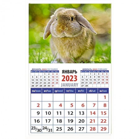 Календарь Год кролика. Обаятельный и привлекательный, на 2023 год