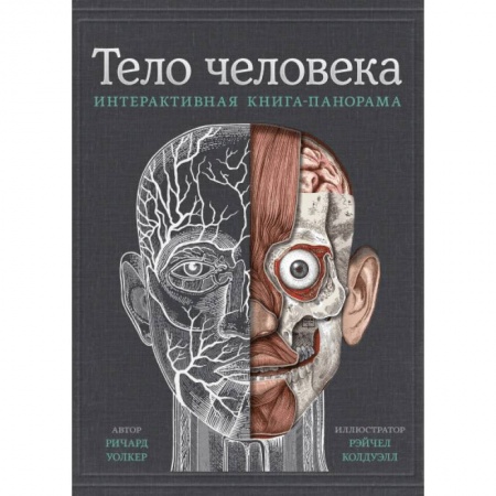 Человек. Земля. Вселенная, книга Тело человека. Интерактивная книга-панорама купить по скидке