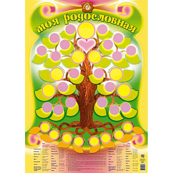 Плакат 'Моя родословная'