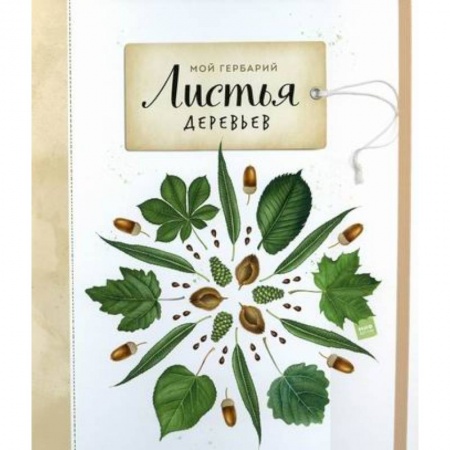 Животный и растительный мир, книга Мой гербарий. Листья деревьев купить по скидке