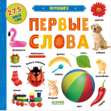 Развитие речи. Чтение, книга Фотокнига. Первые слова купить по скидке