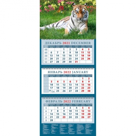 Календарь квартальный на 2022 год 'Год тигра. Сила и грация' (14202)