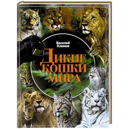 Кошки, книга Дикие кошки мира купить по скидке
