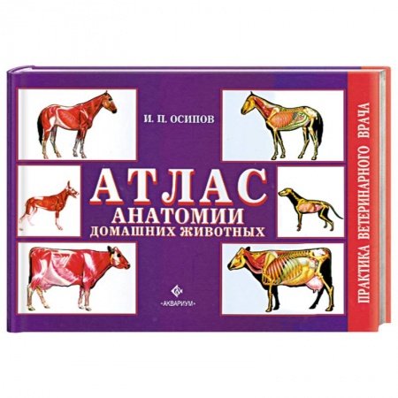 Книги, книга Атлас анатомии домашних животных купить по скидке
