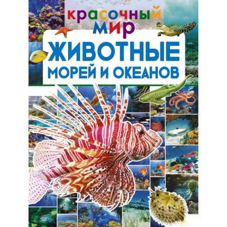 Животный и растительный мир, книга Животные морей и океанов купить по скидке