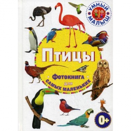 Животный и растительный мир, книга Птицы купить по скидке