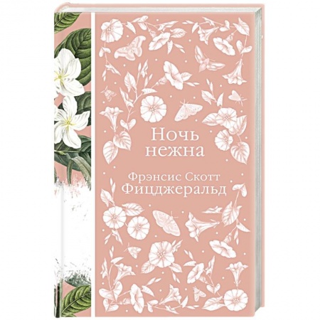 Зарубежная классика, книга Ночь нежна купить по скидке