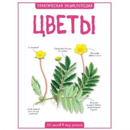 Животный и растительный мир, книга Цветы. Практическая энциклопедия купить по скидке